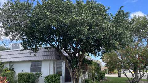 166 Valencia G Drive #166, Delray Beach FL - photo 19 of 23
