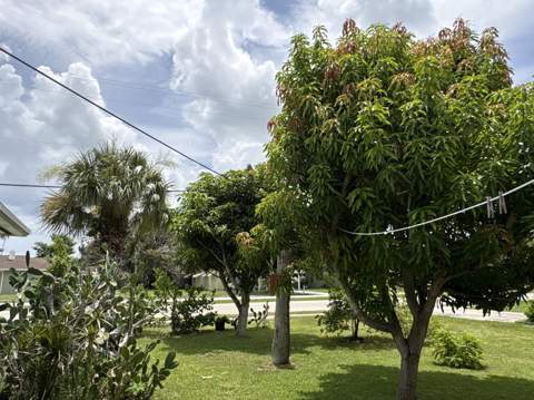 1001 Sunrise Boulevard, Fort Pierce FL - photo 15 of 33