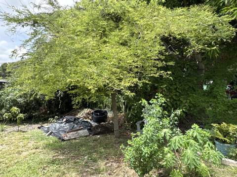 1001 Sunrise Boulevard, Fort Pierce FL - photo 13 of 33