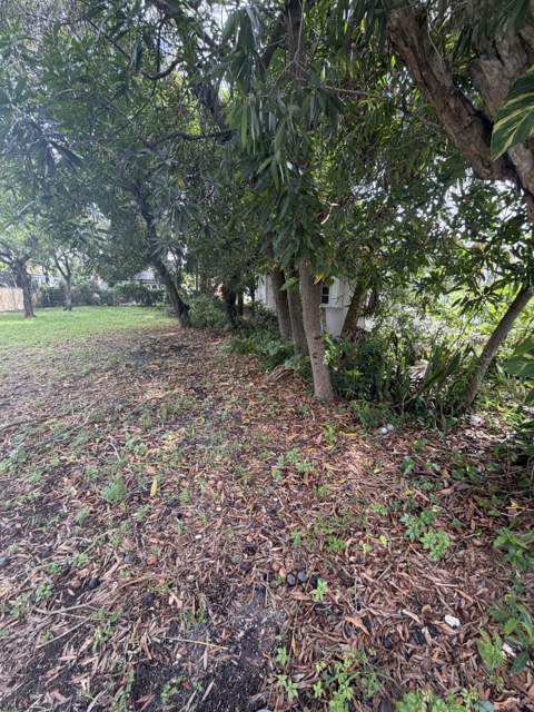 708 SW 7th Terrace, Dania Beach FL - photo 7 of 7