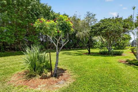 7223 Summer Tree Drive, Boynton Beach FL - photo 24 of 40