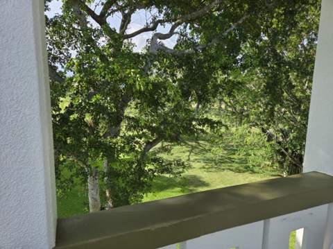 4015 Lyndhurst I, Deerfield Beach FL - photo 6 of 12