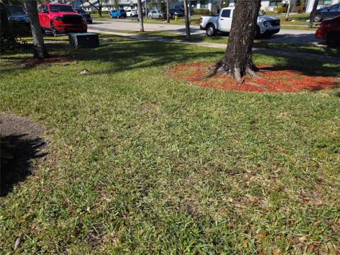 6014 NW 3rd Street, Margate FL - photo 16 of 53