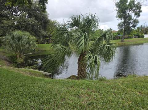6014 NW 3rd Street, Margate FL - photo 20 of 53