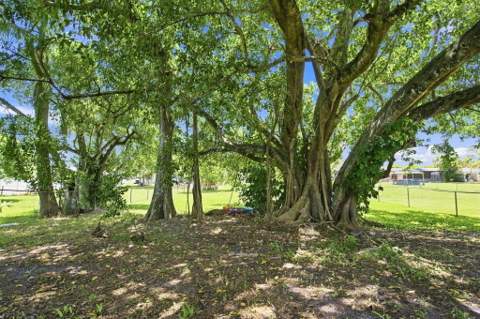 7741 SW 1st Street, Margate FL - photo 19 of 24