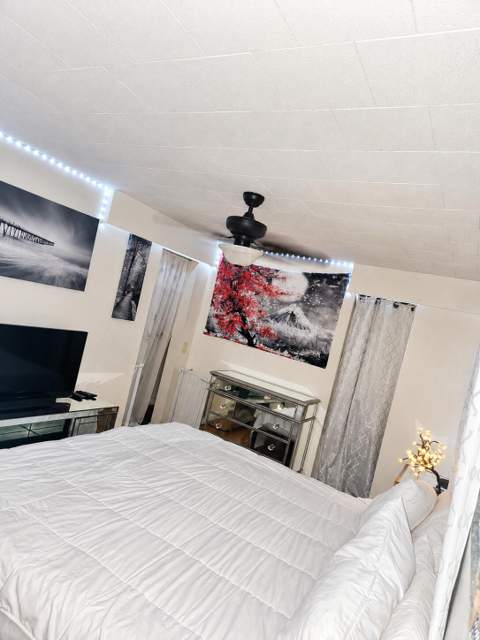 3302 Lake Street, Hollywood FL - photo 8 of 25
