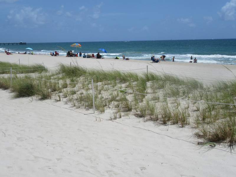 1 bedroom Stock Cooperative at 4050 N Ocean Drive #1509, Caribe Co-Op, Lauderdale-By-The-Sea — photo 3