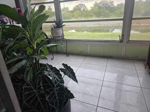 8101 S Sunrise Lakes Drive #204, Sunrise FL - photo 12 of 13