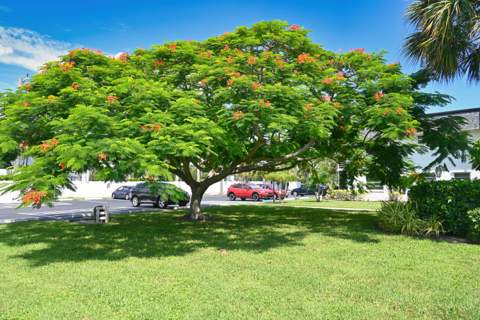 1100 E Indiantown Road #113, Jupiter FL - photo 21 of 36