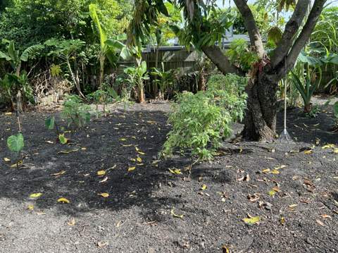 211 NE 27th Avenue, Boynton Beach FL - photo 12 of 14