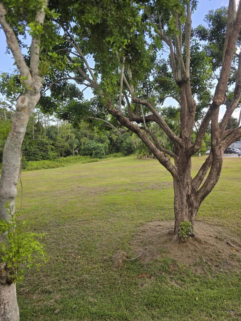 1 bedroom Condominium at 667 Saxony N, Kings Point Saxony Condos, Delray Beach — photo 2