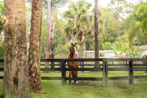 1037 & Tbd F Road, Loxahatchee Groves FL - photo 24 of 63