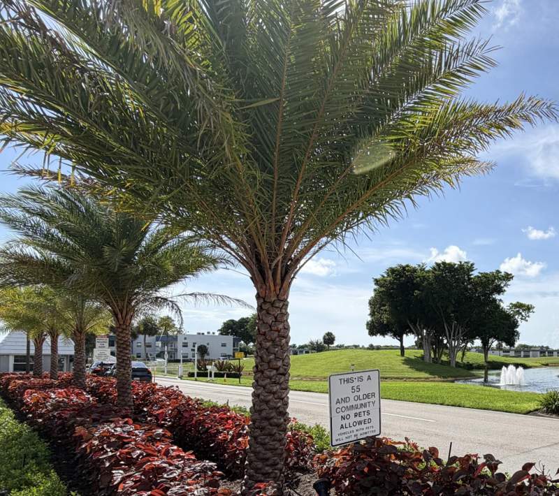 2 bedroom Condominium at 89 Normandy B, Kings Point Normandy Condos, Delray Beach — photo 3