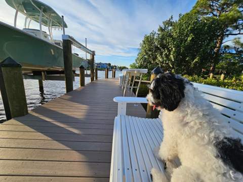 4916 SE Manatee Cove Road, Stuart FL - photo 23 of 31