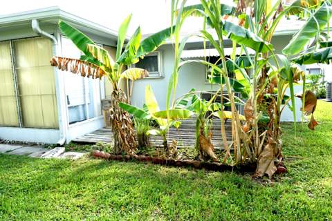 4405 NW 48th Avenue, Tamarac FL - photo 18 of 26