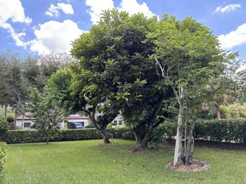 391 Mallard Point, Jupiter FL - photo 6 of 26