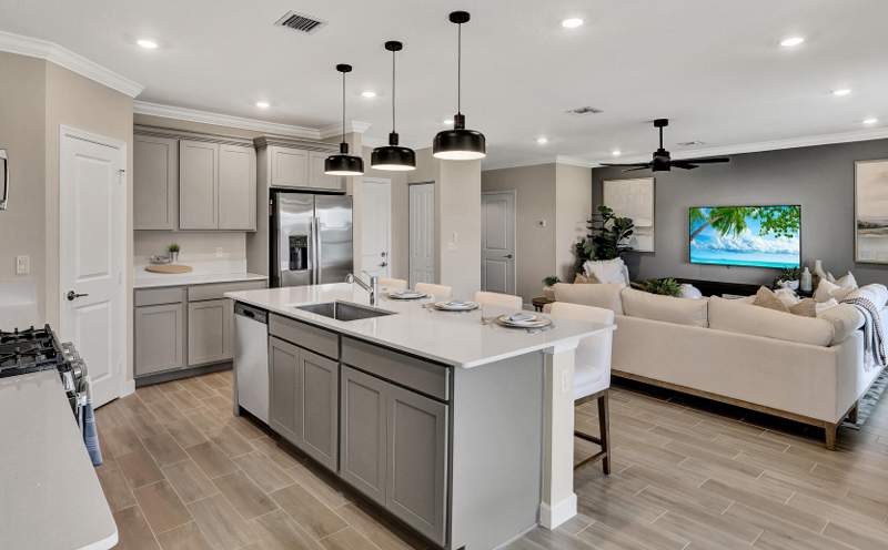 4 bedroom Townhouse at 18985 Wood Stork Way, Arden Pud Pod I North, The Acreage — photo 4