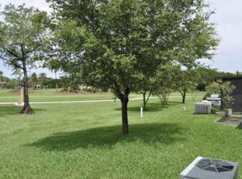 3656 NW 83rd Lane #3656, Sunrise FL - photo 10 of 11
