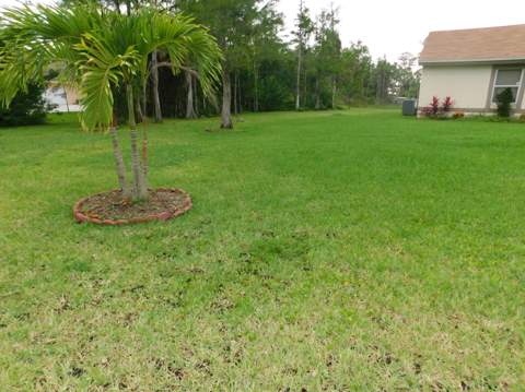 16407 80th Street, The Acreage FL - photo 17 of 18