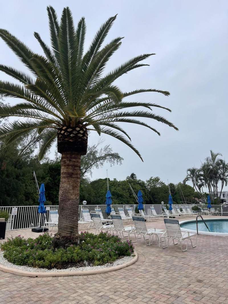 1 bedroom Condominium at 2840 NE 14th St Causeway #203A, Casa La Quinta Condo, Pompano Beach — photo 5