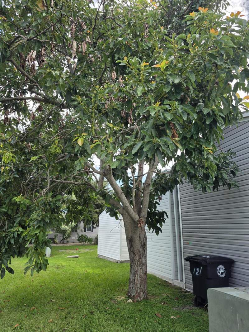 2 bedroom Manufactured Home at 121 Sandhill Boulevard, Sandhill Shores, Fort Pierce — photo 5