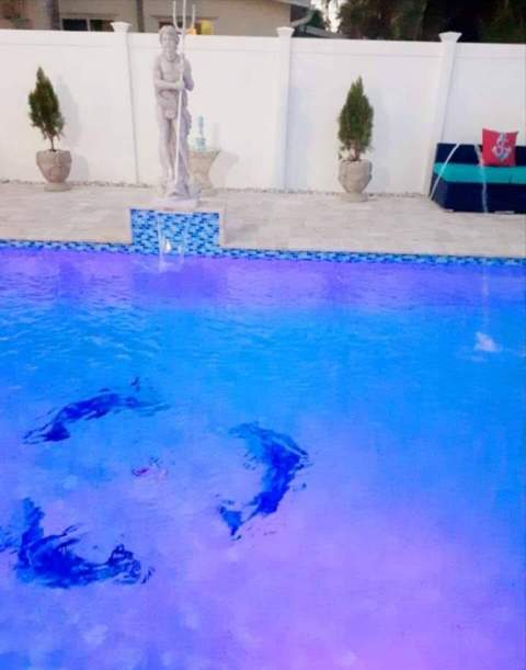 6521 Harding Street, Hollywood FL - photo 22 of 24