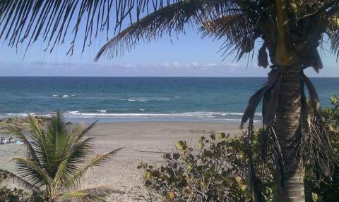 11 SW 4th Avenue #1, Boca Raton FL - photo 17 of 18