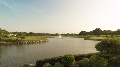 4646 Carlton Golf Drive, Wellington FL - photo 24 of 26