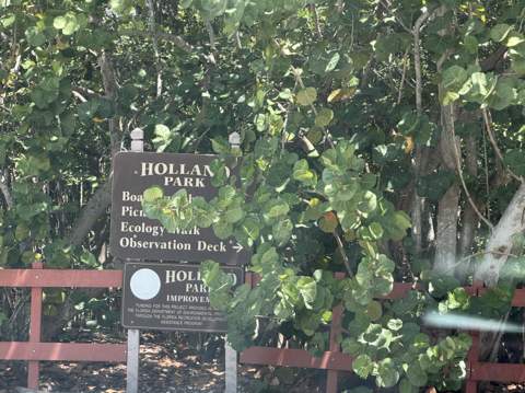 924 Johnson Street, Hollywood FL - photo 15 of 32