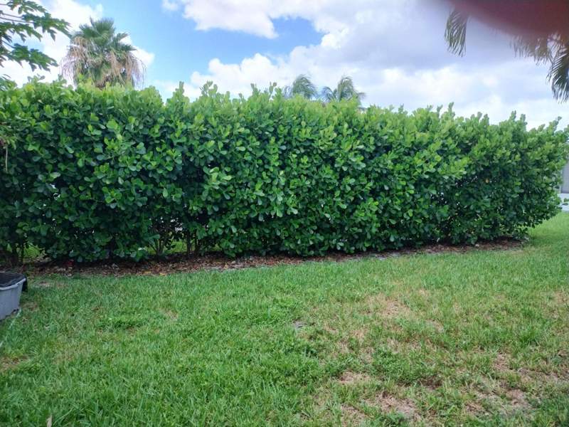 2 bedroom Single Family Residence at 6810 NW 75th Street, Mainlands Of Tamarac Lakes, Tamarac — photo 5