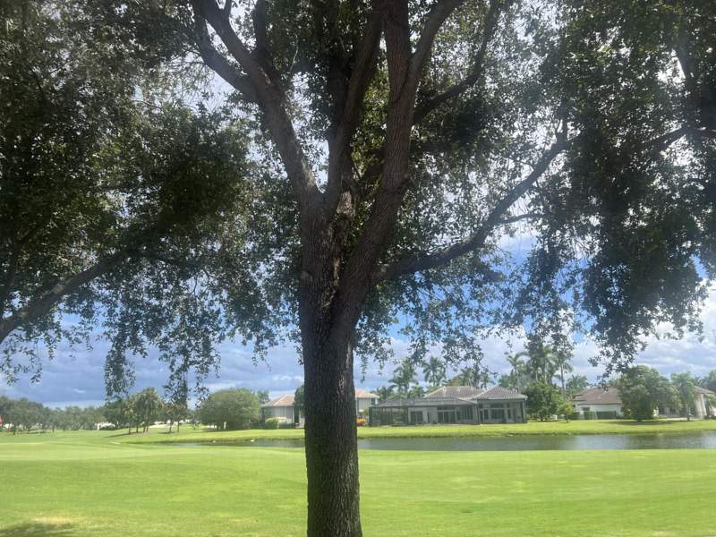 3 bedroom Single Family Residence at 4194 Imperial Isle Drive, Wycliffe Tr I, Lake Worth — photo 5