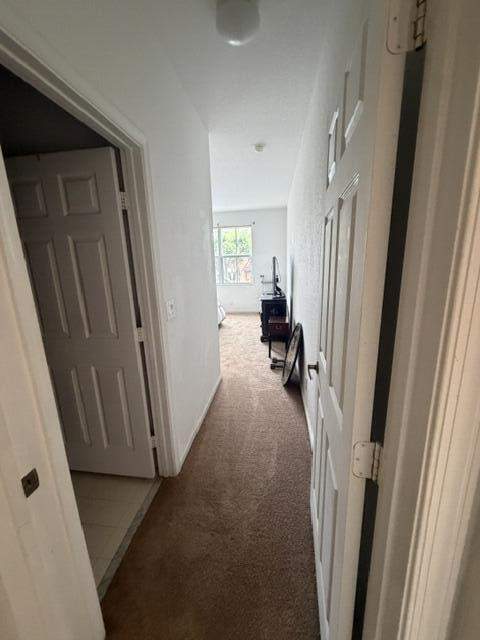 3569 S Forest Hill Boulevard #106, Palm Springs FL - photo 9 of 23