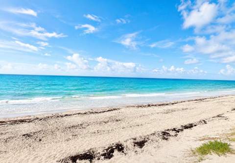 3450 S Ocean Boulevard #2240, Palm Beach FL - photo 14 of 14