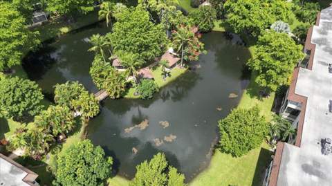 5121 W Oakland Park #109, Lauderdale Lakes FL - photo 23 of 29