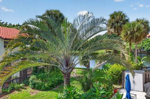 5726 Fox Hollow Drive #G, Boca Raton FL - photo 8 of 40