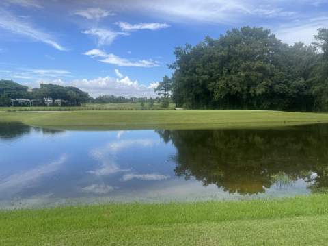 4638 Carlton Golf Drive, Lake Worth FL - photo 15 of 68