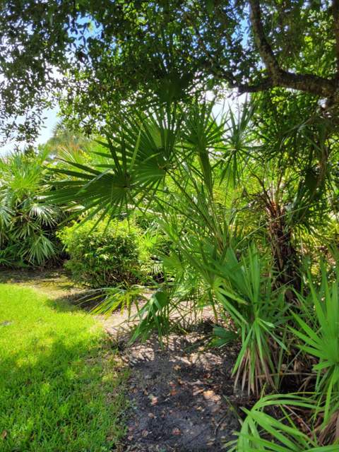 7073 Torrey Pines Circle, Port St. Lucie FL - photo 7 of 51