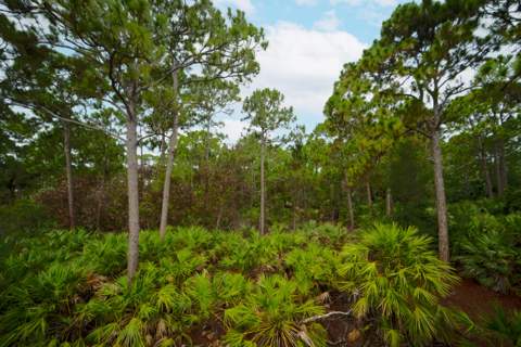 6128 SE Portofino Circle #104, Hobe Sound FL - photo 23 of 28