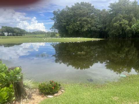 4638 Carlton Golf Drive, Lake Worth FL - photo 12 of 68