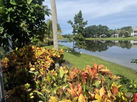 4638 Carlton Golf Drive, Lake Worth FL - photo 11 of 68