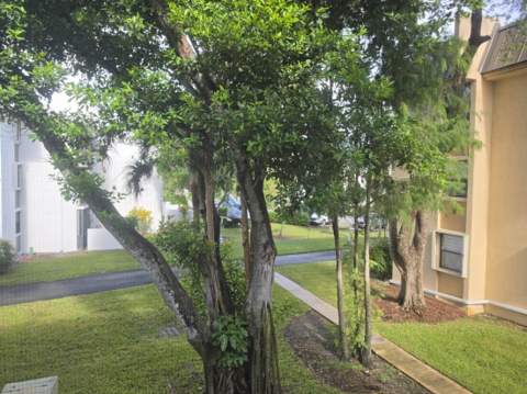 8425 Forest Hills Drive #205, Coral Springs FL - photo 8 of 22