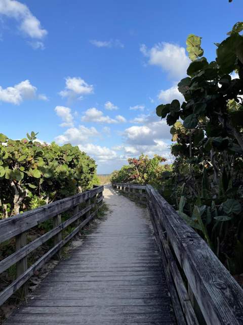 1251 Sugar Sands Boulevard #124, Singer Island FL - photo 14 of 76