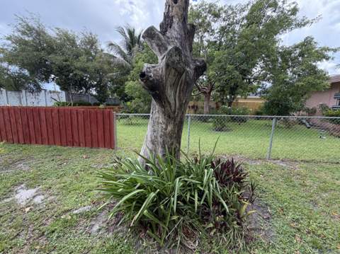 408 NW 16th Avenue, Pompano Beach FL - photo 23 of 28