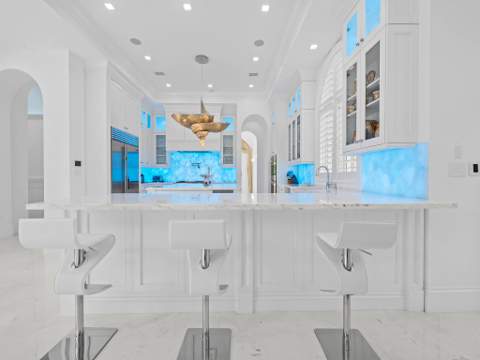 1033 Seasage Drive, Delray Beach FL - photo 23 of 83