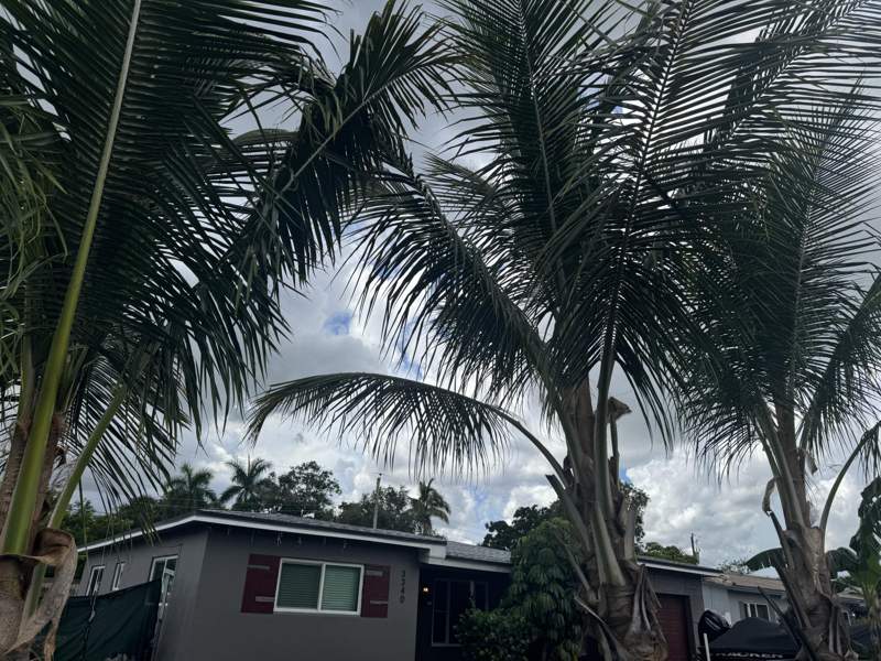 3 bedroom Single Family Residence at 3340 SW 20th Court, Riverland Village Sec 1 Rev, Fort Lauderdale — photo 2