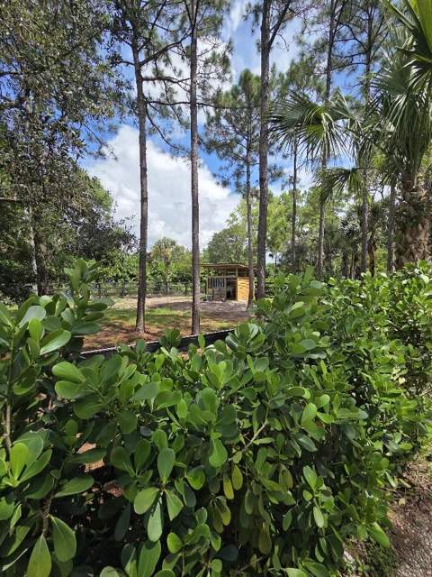 930 Rambling Drive Circle, Wellington FL - photo 10 of 78