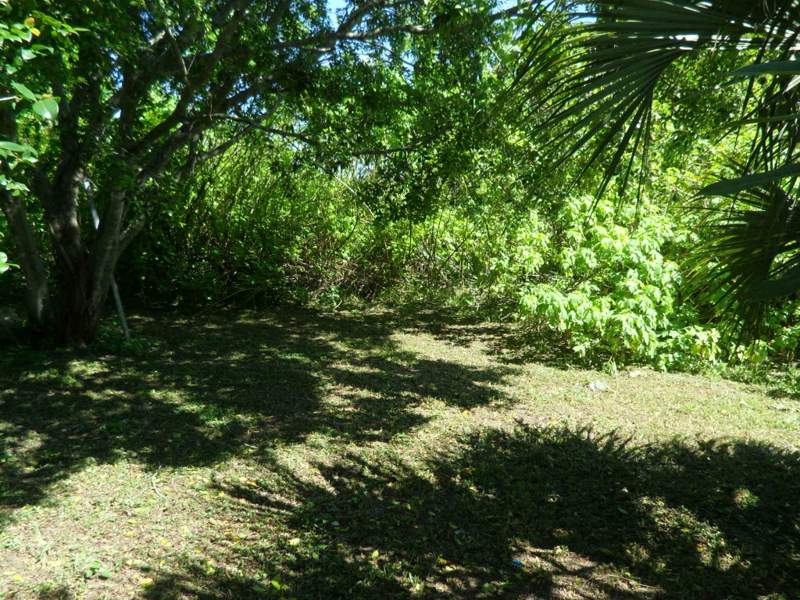 2 bedroom Single Family Residence at 4639 Sunset Lane, South Trail Park, West Palm Beach — photo 5