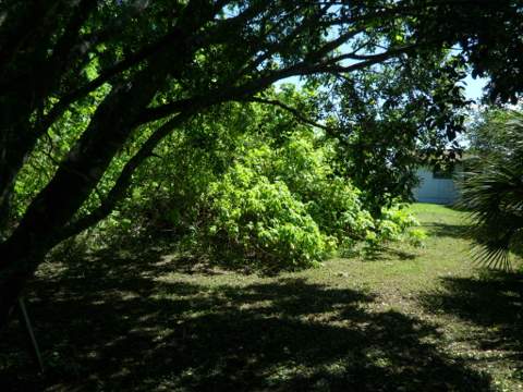4639 Sunset Lane, West Palm Beach FL - photo 6 of 20