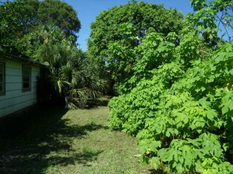 4639 Sunset Lane, West Palm Beach FL - photo 7 of 20