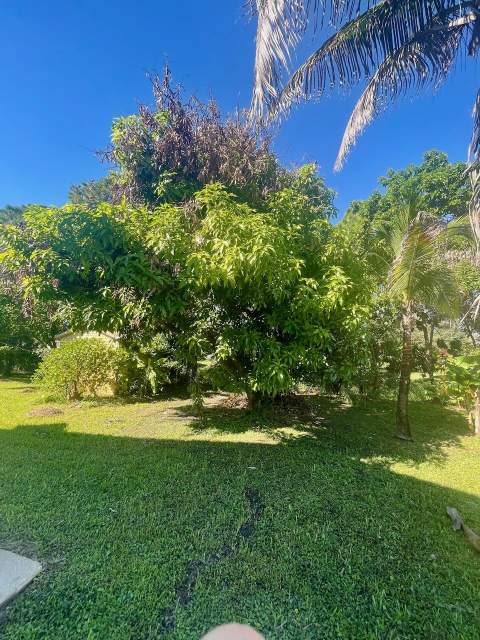 2086 SW Savage Boulevard, Port St. Lucie FL - photo 14 of 29